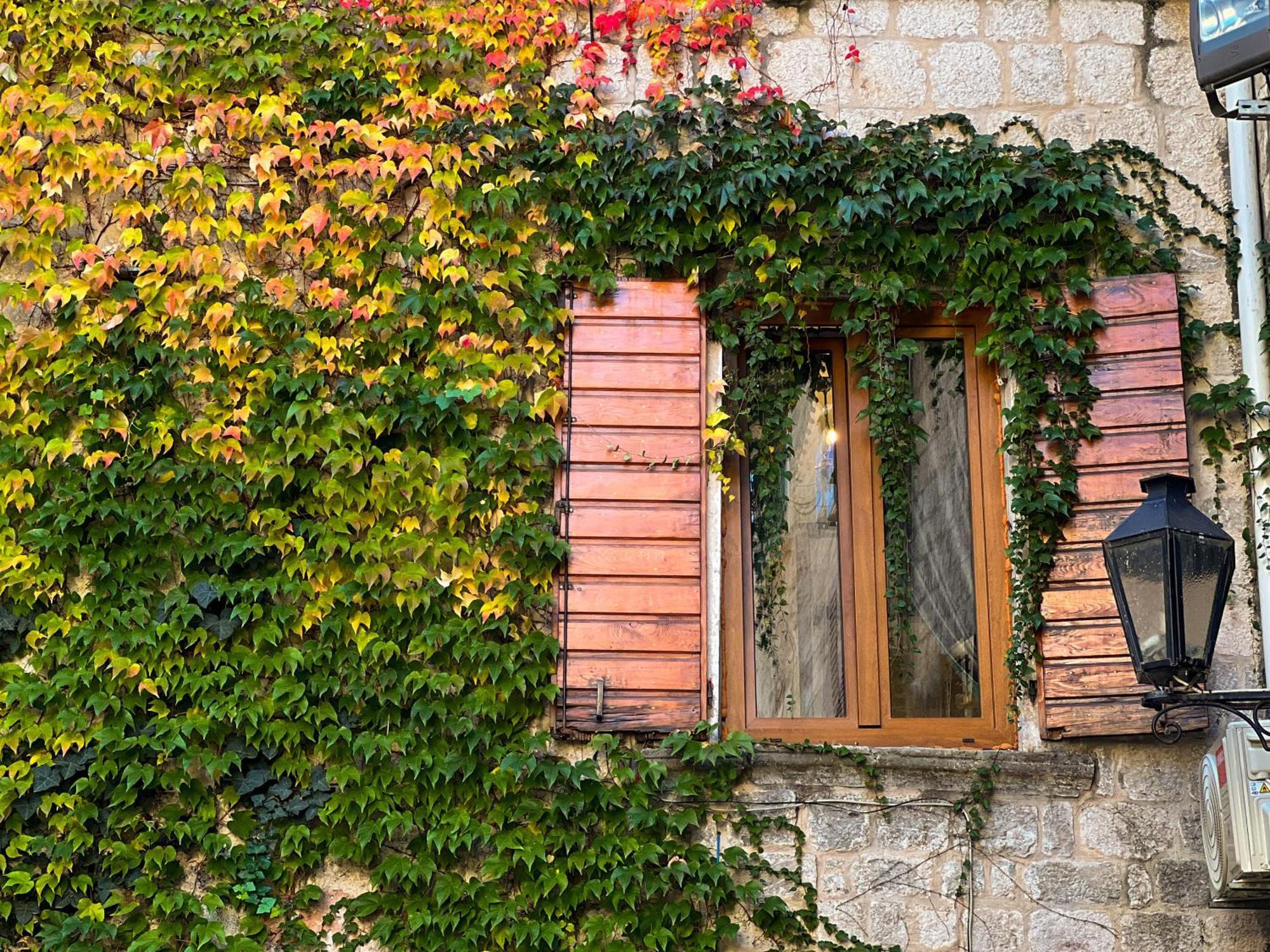 La Mia Amore Kotor Exterior foto
